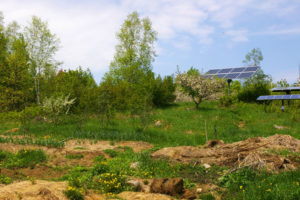 Garden and solar panels
